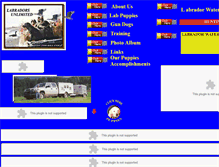 Tablet Screenshot of labradorsunlimited.com